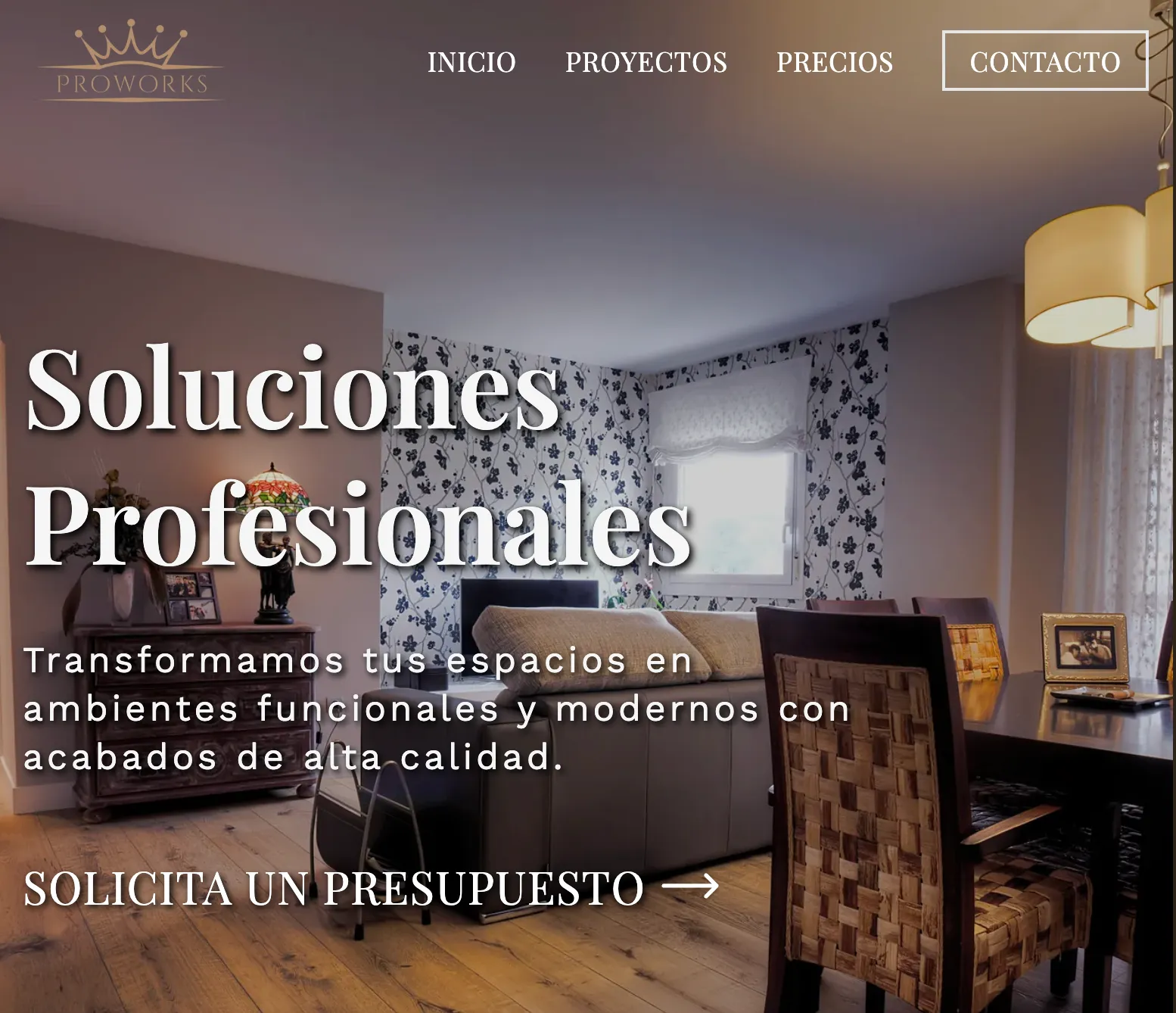 cover preview of ProWorks Website
